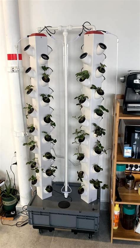 Minimal Vertical Aquaponics Garden Diy Artofit