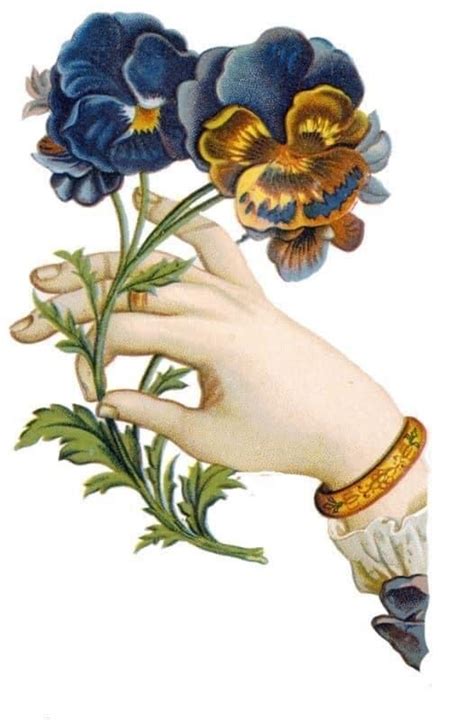 An Illustration Of A Hand Holding Flowers In It S Left Hand With