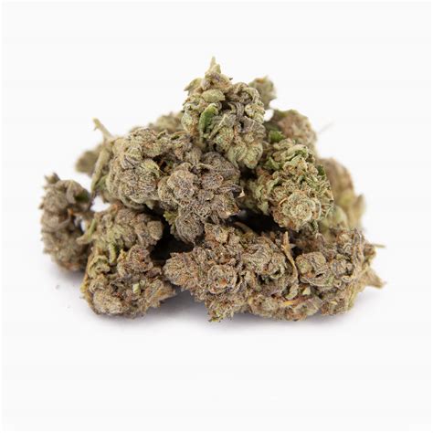 Alaskan Thunder Fuck AA Rocket Chronic