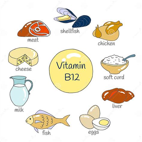 Vector Set Of Hand Drawn Foods Highest In Vitamin B12 Stock Vector Illustration Of Cobalamin