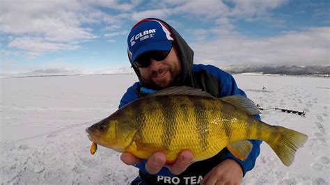 JUMBO PERCH Lake Cascade Idaho 2018 YouTube