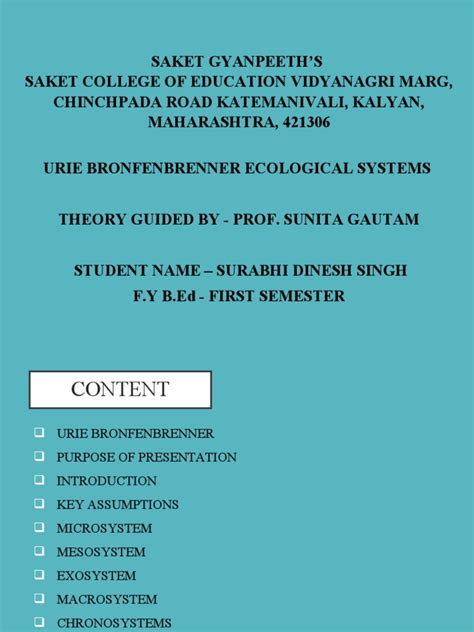 Bronfenbrenner | PDF | Family | Ecology