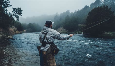 Freshwater Fly Fishing Basics - Whamz Fishing Tips and Guides