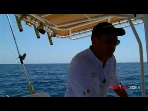 Colmic Fishing Lodge Ricciola Elba Traina Con Il Vivo Youtube