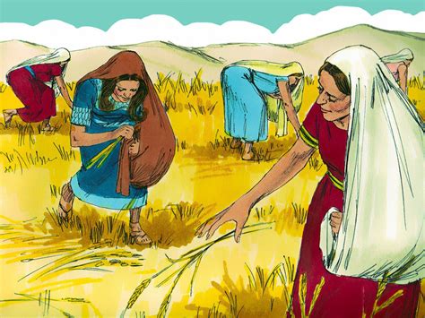 Freebibleimages The Story Of Ruth Part 2 Ruth Gathers Grain In