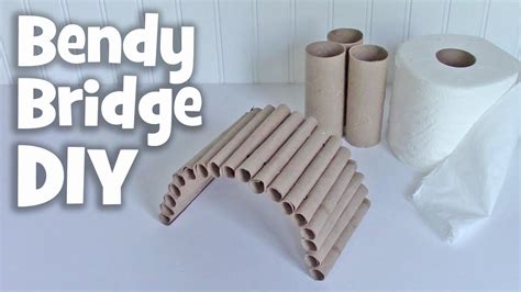 Diy Guinea Pig Toys With Toilet Paper Rolls | Wow Blog