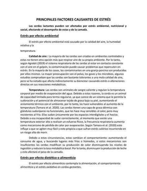 PRINCIPALES FACTORES CAUSANTES DE ESTRÉS Ruth Martinez uDocz