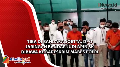 Tiba Di Bandara Soetta Dpo Jaringan Bandar Judi Apin Bk Dibawa Ke