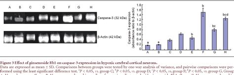 Figure From Ginsenoside Rb Attenuates Activated Microglia Induced