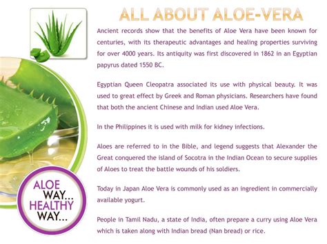 Ppt All About Aloe Vera Powerpoint Presentation Free Download Id