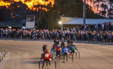 Gallery Terang Harness Racing Club