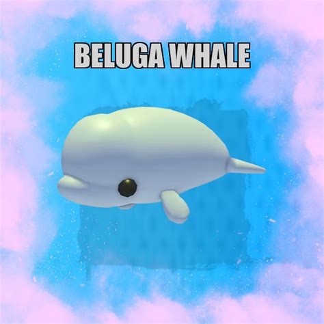 Beluga Whale NO POTION Adopt Me Buy Adopt Me Pets Cheap