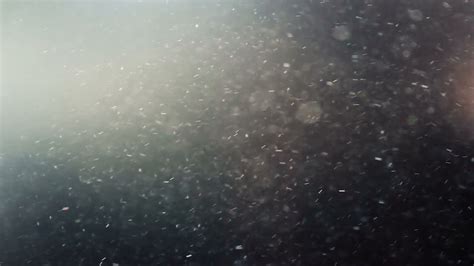 Текстура пыли в воздухе - фото и картинки abrakadabra.fun