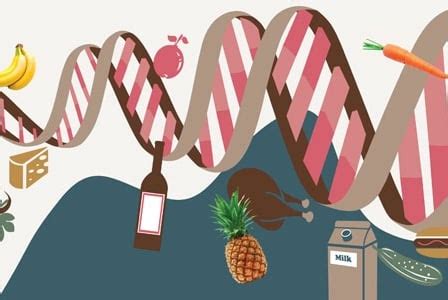 Nutrigenomics Discover How Food Is Interacting With Our Genes Alive