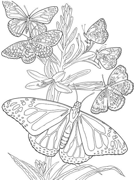 30 Totally Awesome Free Adult Coloring Pages ⋆ The Quiet Grove