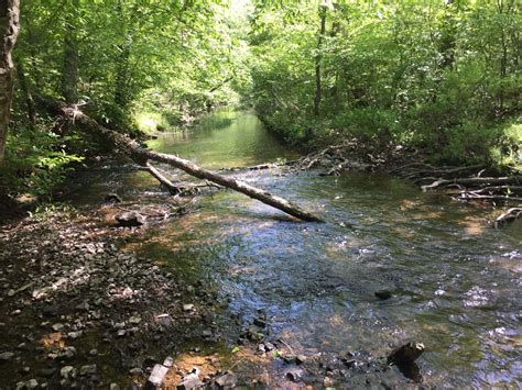 July 4 2024 Events Inside Hot Springs Village HSVInsideOut