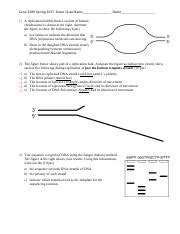 S Exam Sa Pdf Gene Spring Exam Last Name Name A