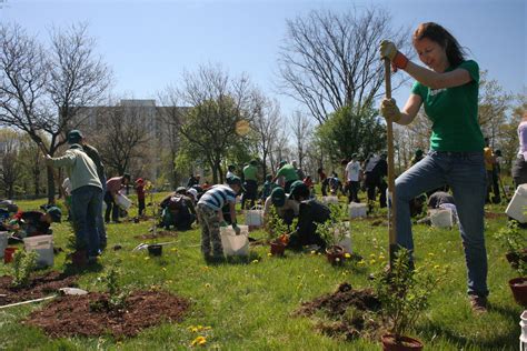 How Will You Celebrate Earth Day LEAF Local Enhancement