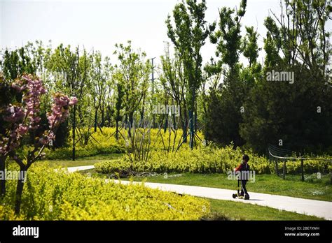 Jinan Chinas Shandong Province 13th Apr 2020 A Boy Plays At The Huashan Historical And