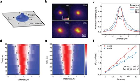 Tplm Images Of Cseubr A Schematic Of The Exciton Transport