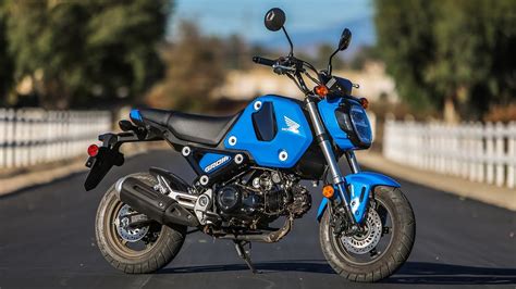 2022 Honda Grom Review Cycle World Atelier Yuwa Ciao Jp