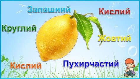 Описові загадки...........