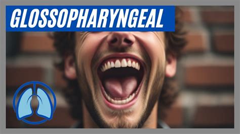 Investigating The Glossopharyngeal Nerve Youtube