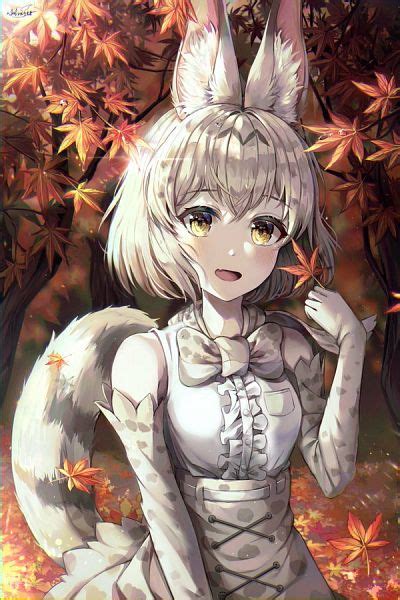 White Serval Kemono Friends Zerochan Anime Image Board