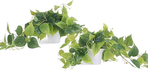 Amazon Tiita 2 Pack Fake Plants Artificial Scindapsus Aureus In