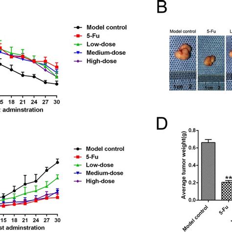 Pbmf Inhibited Sgc Xenograft Tumors Growth In Nude Mice A Dynamic