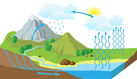 Ciclo Da Gua Resumo O Que Caracter Sticas Evapora O Chuvas