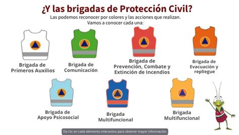 2¿¿¿y Las Brigadas De Protección Civil