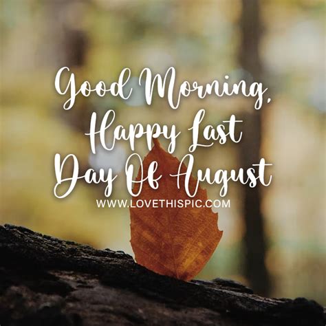 Brown Leaf On Tree Good Morning Happy Last Day Of August Pictures