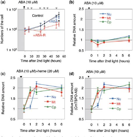 Figure 1 From Abscisic Acid Participates In The Control Of Cell Cycle