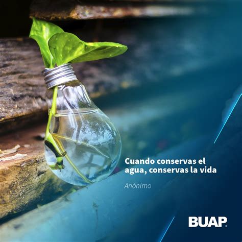 Introducir Imagen Frases Cuidado Agua Abzlocal Mx