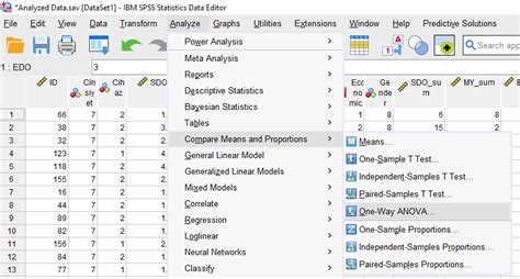 SPSS ile Welch in T Testi Resimli SPSS YARDIMI İSTATİSTİK MERKEZİ