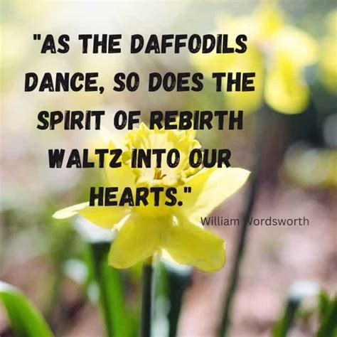 Inspiring Daffodil Quotes And Captions For Instagram