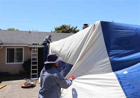 Termite Fumigation San Luis Obispo, Tent Fumigation, Termite Fumigation ...