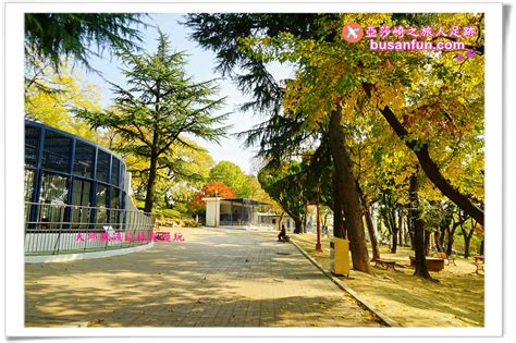 大邱景點｜達城公園秋賞銀杏紅葉春賞櫻花、動物園親子遊｜赤豆餅咖啡糕餅老店 亞莎崎之旅人足跡