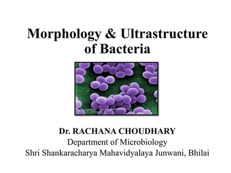 Morphology And Ultrastructure Of Bacteria Ppt