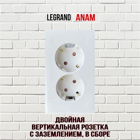Розетка двойная Legrand Anam с заземлением вертикальная (45 градусов) в ...