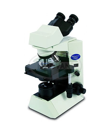 Ms Microscope Bino Olym Cx31 Berovan