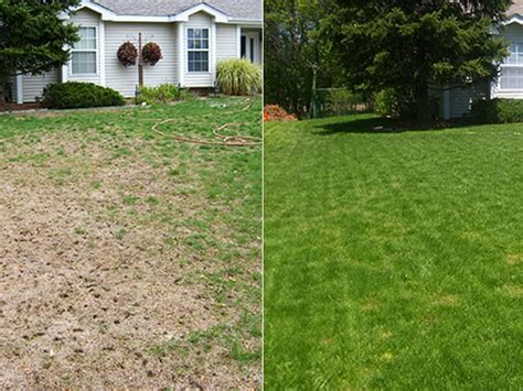 Overseeding Lawnsavers