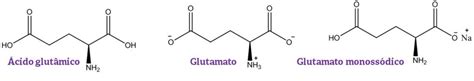 Glutamato Monoss Dico O Que Clube Da Qu Mica