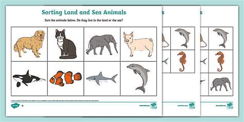 Sorting Land and Sea Animals Worksheet (teacher made)