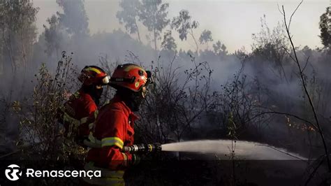 Chamas Em Castelo Branco J Consumiram Seis Mil Hectares Mais De