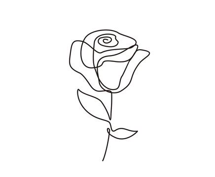 Simple Rose Drawing Outline