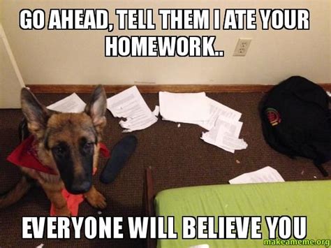 Pin by EZ 2bSAVED on Homework Memes | Memes, Believe in you, Homework