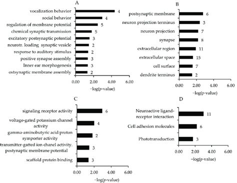 Most Enriched Gene Ontology Go Biological Process A Cell Component Download Scientific