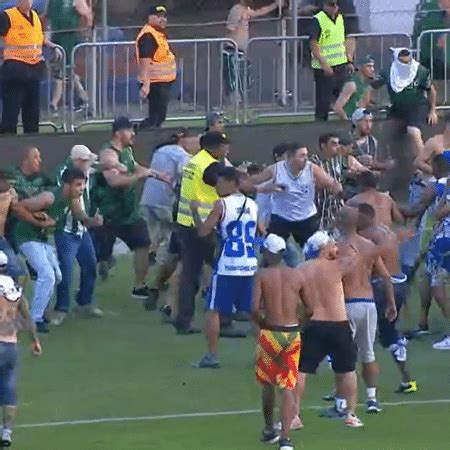 Torcedores De Cruzeiro E Coritiba Invadem Campo E Brigam Em Final De